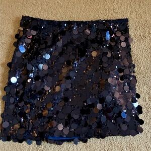 Sequin Embellished Black Skirt